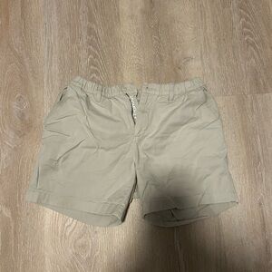 Men's Chubbies 5.5 inseam